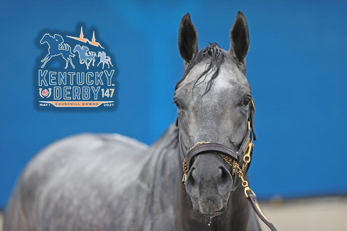 Undefeated favorite Essential Quality has everyone asking: Wait — how many gray horses have won the Kentucky Derby?